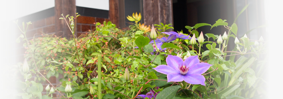 マキノ高原の民宿なら、みくに館をご利用ください。